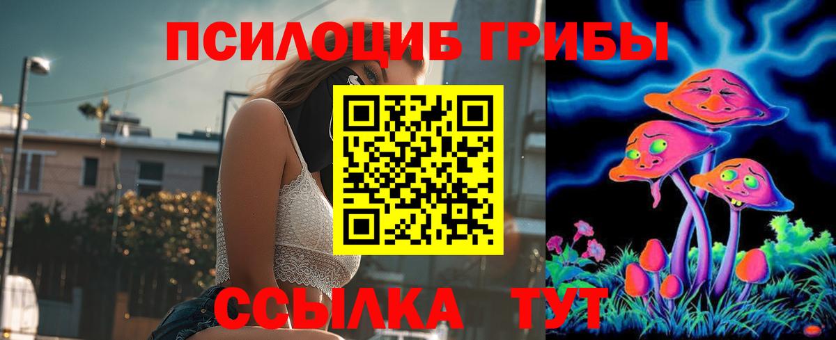 Россошь  Псилоцибиновые грибы GOLDEN TEACHER  наркошоп  Вход с VPN 